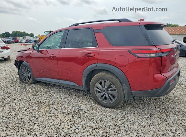 5N1DR3BC9NC222120 2022 NISSAN PATHFINDER Красный Задняя левая четверть