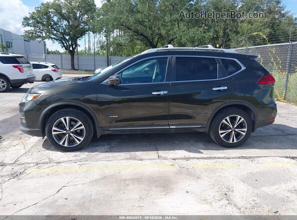 5N1ET2MV5HC801365 2017 NISSAN ROGUE HYBRID Green Widok wnętrza 360 stopni