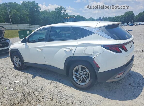5NMJA3DEXSH520556 2025 HYUNDAI TUCSON Белый Задняя левая четверть