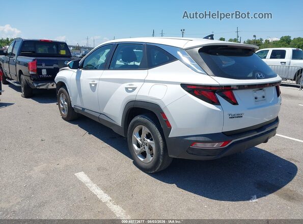 5NMJACAE2PH236883 2023 HYUNDAI TUCSON White Հետևի ձախ