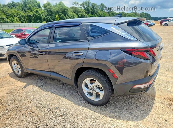 5NMJACAE3PH268208 2023 HYUNDAI TUCSON Серый Задняя левая четверть