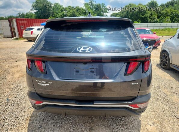 5NMJACAE3PH268208 2023 HYUNDAI TUCSON Серый Вид сзади