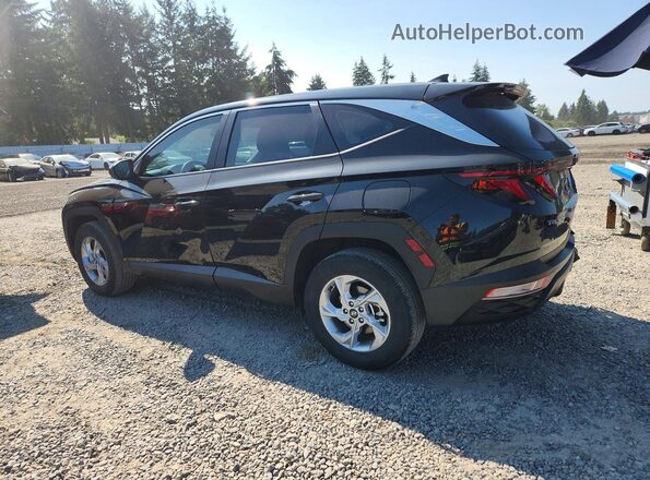 5NMJACAEXPH176576 2023 HYUNDAI TUCSON Black Задня ліва чверть