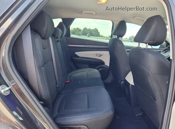 5NMJACAEXPH209561 2023 HYUNDAI TUCSON Угольный Вид задних сидений