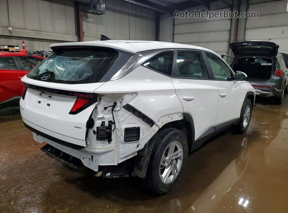 5NMJACDE2SH529042 2025 HYUNDAI TUCSON White Tył prawy