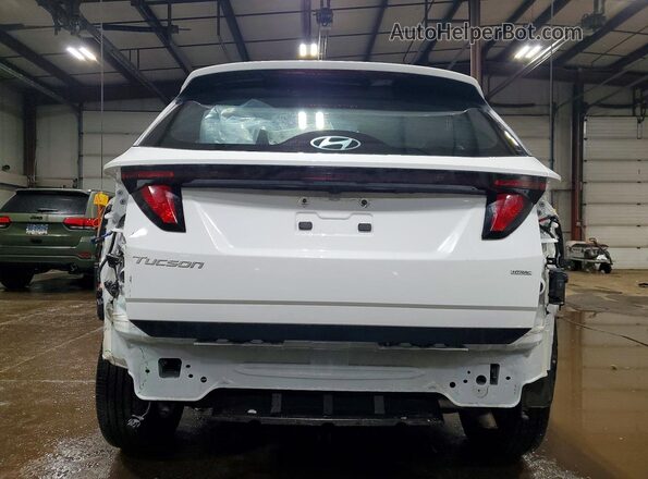 5NMJACDE2SH529042 2025 HYUNDAI TUCSON White Հետևի տեսք