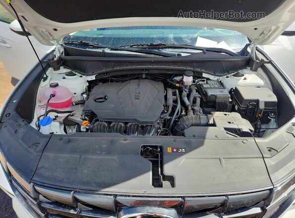 5NMJACDE9RH433838 2024 HYUNDAI TUCSON White Vista interior trasera