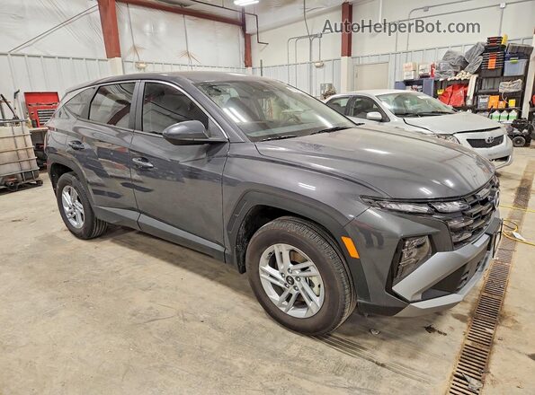 5NMJACDEXSH585262 2025 HYUNDAI TUCSON Gray Սալոնի հետևի տեսք