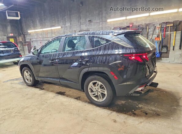 5NMJACDEXSH606224 2025 HYUNDAI TUCSON Black Հետևի ձախ