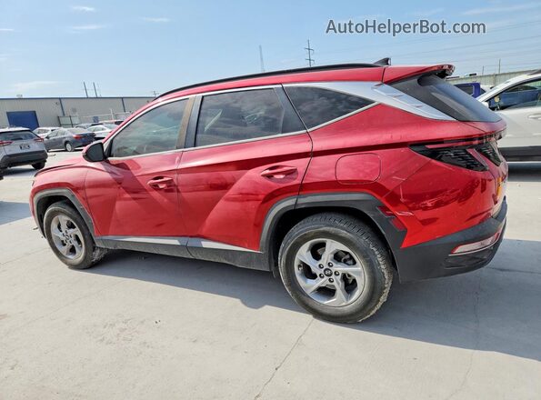 5NMJB3AE5PH236955 2023 HYUNDAI TUCSON Red Задня ліва чверть