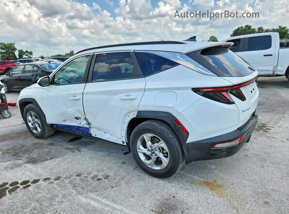 5NMJB3AE6NH155847 2022 HYUNDAI TUCSON White უკანა მარცხენა