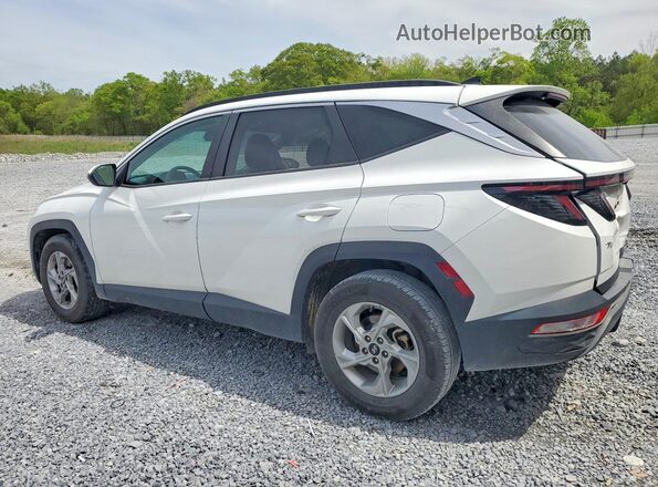 5NMJB3AE7PH237525 2023 HYUNDAI TUCSON White Հետևի ձախ
