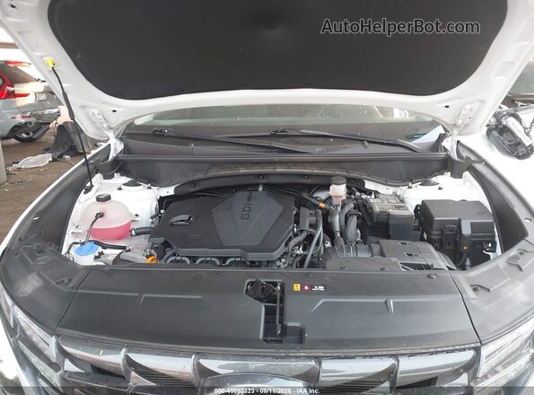 5NMJB3AEXNH092722 2022 HYUNDAI TUCSON White Widok z tyłu