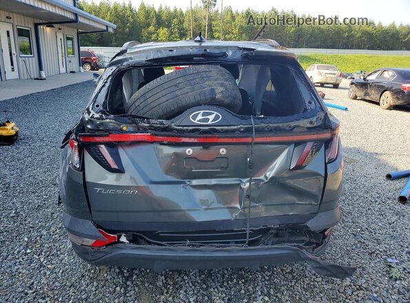 5NMJB3AEXPH251502 2023 HYUNDAI TUCSON Gray Widok z tyłu
