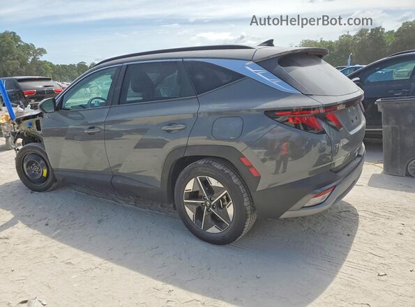 5NMJB3DE2SH493284 2025 HYUNDAI TUCSON Серый Задняя левая четверть