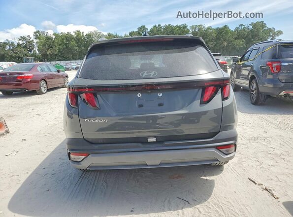 5NMJB3DE2SH493284 2025 HYUNDAI TUCSON Серый Вид сзади