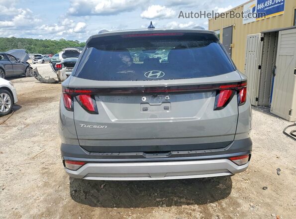 5NMJB3DE2SH565889 2025 HYUNDAI TUCSON Gray Вид ззаду