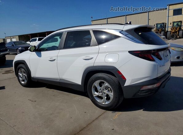 5NMJB3DE3RH384374 2024 HYUNDAI TUCSON White Tył lewy