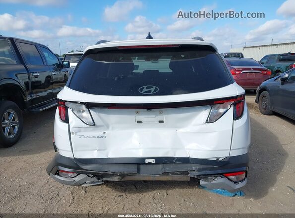 5NMJB3DE3SH494184 2025 HYUNDAI TUCSON Белый 