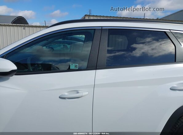 5NMJB3DE3SH494184 2025 HYUNDAI TUCSON Белый 