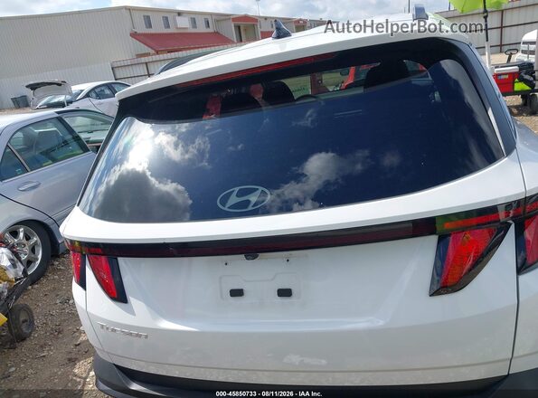 5NMJB3DE4SH549385 2025 HYUNDAI TUCSON Белый 