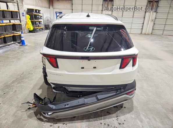 5NMJB3DE5SH553980 2025 HYUNDAI TUCSON White უკანა ხედი
