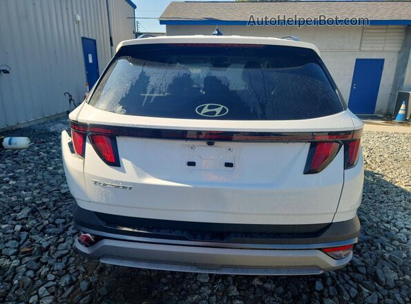 5NMJB3DE5TH659489 2026 HYUNDAI TUCSON Белый Вид сзади