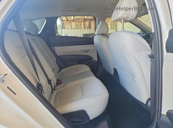 5NMJB3DE5TH659489 2026 HYUNDAI TUCSON Белый Вид задней части салона