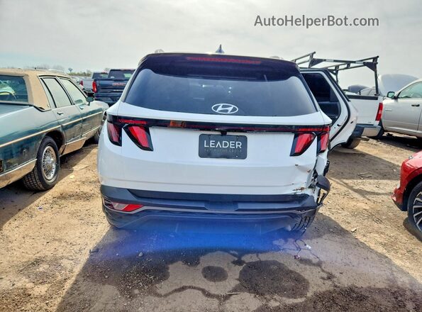 5NMJB3DE6RH368590 2024 HYUNDAI TUCSON White უკანა ხედი