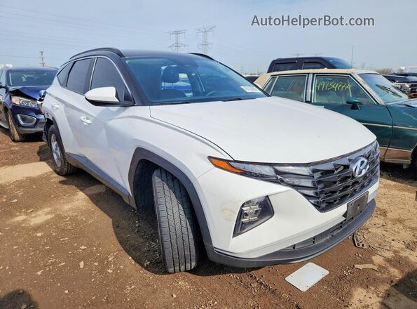 5NMJB3DE6RH368590 2024 HYUNDAI TUCSON White წინა მარჯვენა
