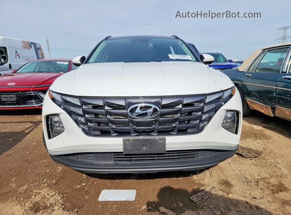 5NMJB3DE6RH368590 2024 HYUNDAI TUCSON White წინა ხედი