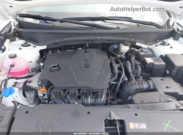 5NMJB3DE6RH421336 2024 HYUNDAI TUCSON White Հետևի տեսք