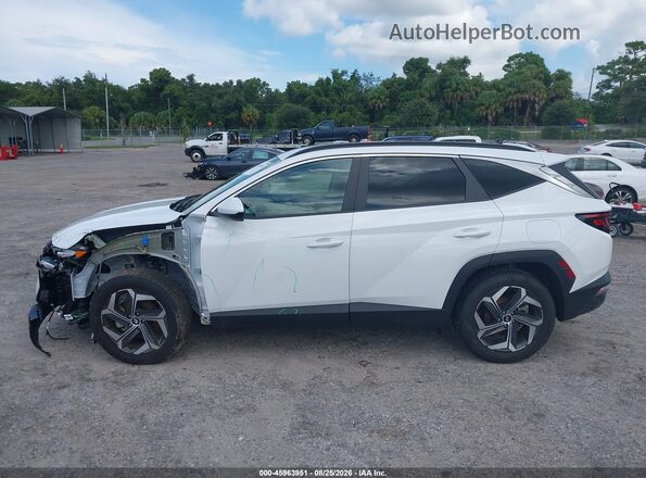 5NMJB3DE6RH421336 2024 HYUNDAI TUCSON White Սալոնի 360 աստիճան տեսք