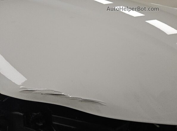 5NMJB3DE6TH636934 2026 HYUNDAI TUCSON White 