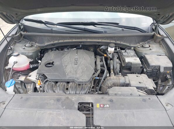 5NMJB3DE7SH464055 2025 HYUNDAI TUCSON Green Widok z tyłu