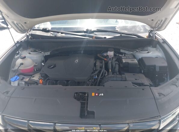 5NMJB3DEXRH316881 2024 HYUNDAI TUCSON Gray Widok z tyłu