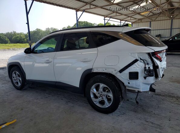5NMJB3DEXRH400442 2024 HYUNDAI TUCSON White Trasero izquierdo