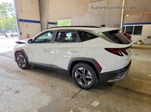 5NMJB3DEXSH557541 2025 HYUNDAI TUCSON White Հետևի ձախ
