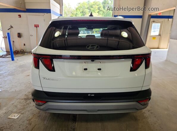 5NMJB3DEXSH557541 2025 HYUNDAI TUCSON White Հետևի տեսք