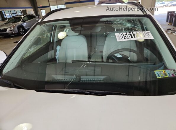 5NMJB3DEXSH557541 2025 HYUNDAI TUCSON White Սալոնի 360 աստիճան տեսք