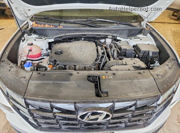 5NMJBCAE0NH152264 2022 HYUNDAI TUCSON White Вид задньої частини салону