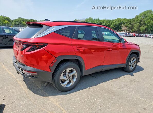 5NMJBCAE2PH240316 2023 HYUNDAI TUCSON Red Trasero derecho