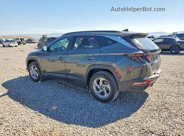 5NMJBCAE4PH201341 2023 HYUNDAI TUCSON Серый Задняя левая четверть