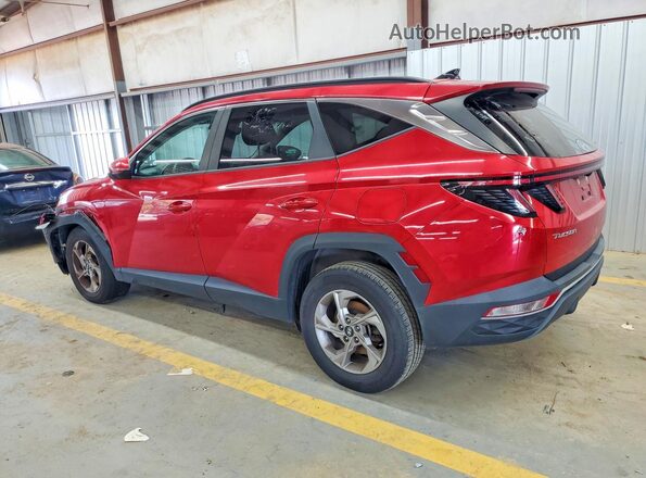 5NMJBCAE5PH217631 2023 HYUNDAI TUCSON Red Trasero izquierdo