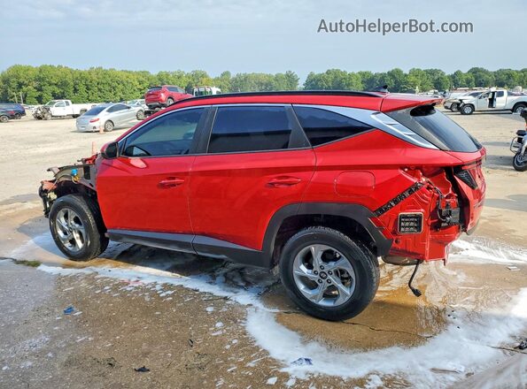 5NMJBCAE5PH266067 2023 HYUNDAI TUCSON Red უკანა მარცხენა