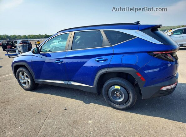 5NMJBCAE5PH291003 2023 HYUNDAI TUCSON Синий Задняя левая четверть