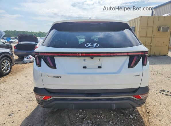 5NMJBCAE6NH031495 2022 HYUNDAI TUCSON White Widok z tyłu