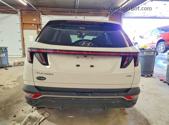 5NMJBCAE6NH155251 2022 HYUNDAI TUCSON White უკანა ხედი