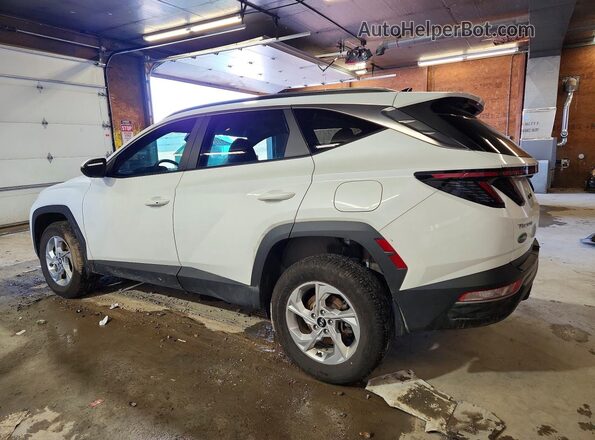 5NMJBCAE6NH155251 2022 HYUNDAI TUCSON White უკანა მარცხენა