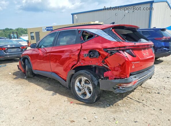 5NMJBCAE7PH221048 2023 HYUNDAI TUCSON Красный Задняя левая четверть